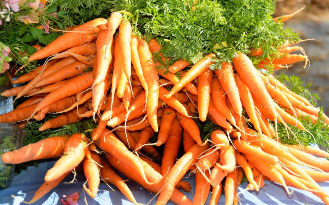 A Carrot A Day…