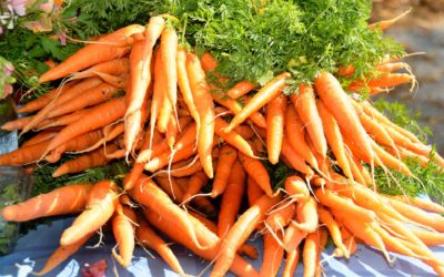 A Carrot A Day…